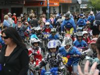 November Newsletter 2012